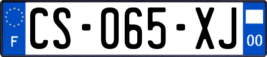 CS-065-XJ