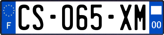 CS-065-XM