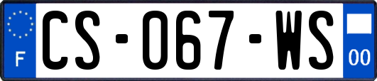 CS-067-WS