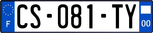 CS-081-TY