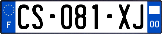 CS-081-XJ