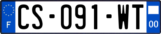 CS-091-WT