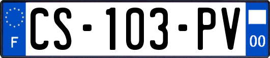 CS-103-PV