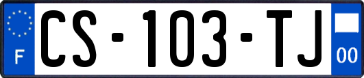 CS-103-TJ