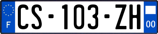 CS-103-ZH