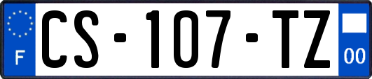 CS-107-TZ