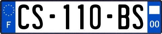 CS-110-BS