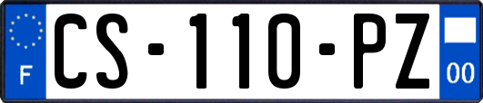 CS-110-PZ