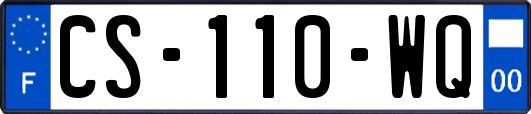 CS-110-WQ