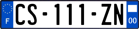 CS-111-ZN