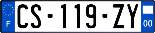 CS-119-ZY