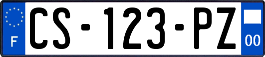 CS-123-PZ