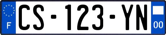 CS-123-YN