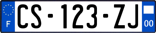 CS-123-ZJ