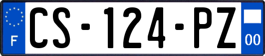 CS-124-PZ