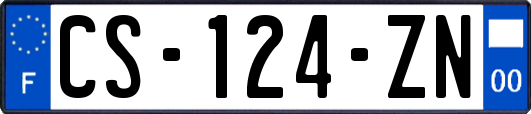 CS-124-ZN