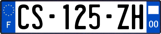 CS-125-ZH