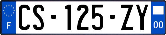 CS-125-ZY