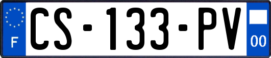 CS-133-PV