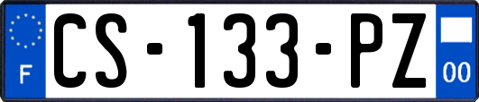 CS-133-PZ