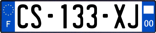 CS-133-XJ