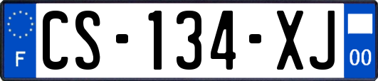 CS-134-XJ