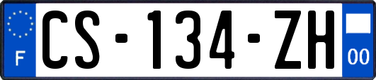 CS-134-ZH