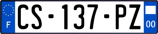 CS-137-PZ