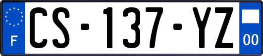 CS-137-YZ