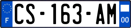 CS-163-AM