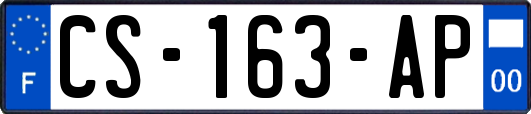 CS-163-AP