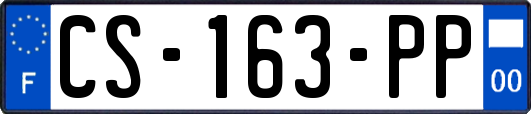 CS-163-PP