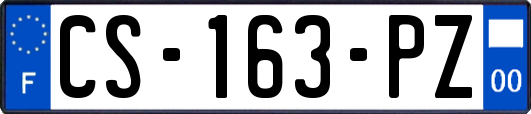 CS-163-PZ