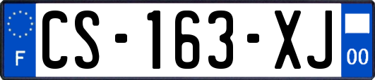 CS-163-XJ