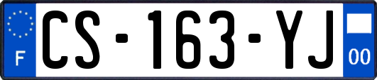 CS-163-YJ