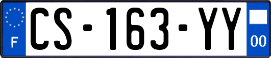CS-163-YY