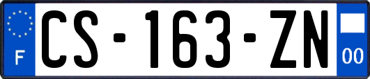 CS-163-ZN