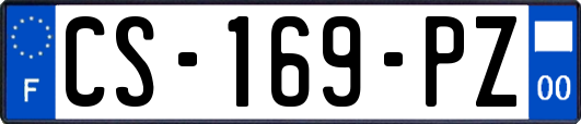 CS-169-PZ