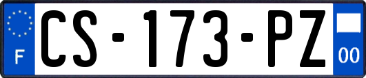 CS-173-PZ
