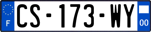 CS-173-WY