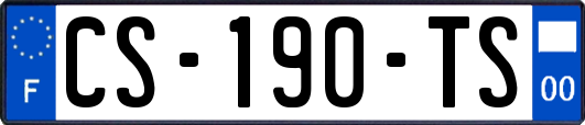 CS-190-TS