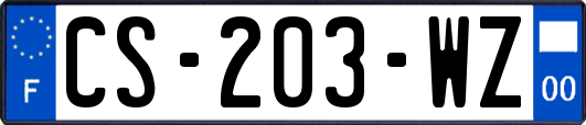 CS-203-WZ