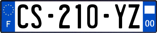 CS-210-YZ