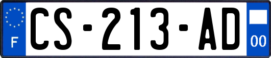 CS-213-AD