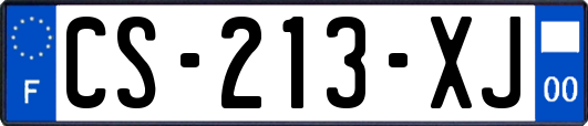 CS-213-XJ