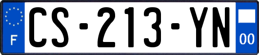 CS-213-YN