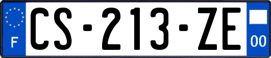 CS-213-ZE