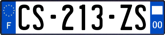 CS-213-ZS