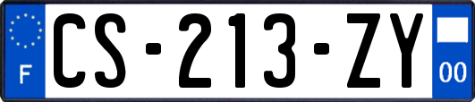 CS-213-ZY