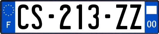 CS-213-ZZ